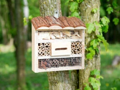 Royal Gardineer Nistkästen:Insektenhotel "Marie", Nisthilfe Für Nützlinge, 20 X 20 X 7 Cm -Rosenstein & Söhne Shop nx1269 1