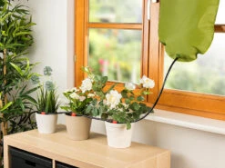 Royal Gardineer Bewässerungssack:2er-Set Pflanzen-Bewässerungssystem Mit 8 Einstellbaren Tropfern, 11 L -Rosenstein & Söhne Shop nx1402 6 1