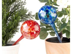 Royal Gardineer Wasserkugel:4er-Set Gießfrei-Bewässerungs-Kugeln Aus Glas, Bunt, Ø 8,5 Cm -Rosenstein & Söhne Shop nx3201 4 1