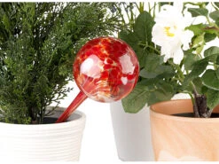 Royal Gardineer Wasserkugel:4er-Set Gießfrei-Bewässerungs-Kugeln Aus Glas, Bunt, Ø 8,5 Cm -Rosenstein & Söhne Shop nx3201 6 1