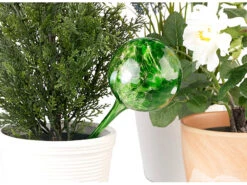 Royal Gardineer Wasserkugel:4er-Set Gießfrei-Bewässerungs-Kugeln Aus Glas, Bunt, Ø 8,5 Cm -Rosenstein & Söhne Shop nx3201 7 1