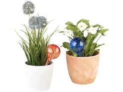 Royal Gardineer Hydrokugeln:4er-Set Gießfrei-Bewässerungs-Kugeln Aus Glas, Bunt, Ø 6 Cm -Rosenstein & Söhne Shop nx3202 2 1