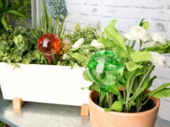 Royal Gardineer Gießstab:2er-Set Gießfrei-Bewässerungs-Kugeln Aus Glas, Je 4 Stk., Ø 6 Cm, Bunt -Rosenstein & Söhne Shop nx3202 8