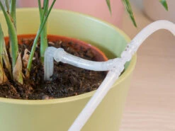 Royal Gardineer Urlaubsbewässerung:Automatische WLAN-Bewässerungsanlage BWC-20.app Für 10 Topfpflanzen 20 Royal Gardineer Urlaubsbewässerung:Automatische WLAN-Bewässerungsanlage BWC-20.app Für 10 Topfpflanzen -Rosenstein & Söhne Shop nx4985 8 1