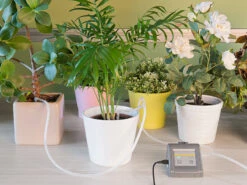 Royal Gardineer Bewässerung Balkonkasten:Automatische WLAN-Bewässerungsanlage Versandrückläufer 18 Royal Gardineer Bewässerung Balkonkasten:Automatische WLAN-Bewässerungsanlage Versandrückläufer -Rosenstein & Söhne Shop nx4985 9