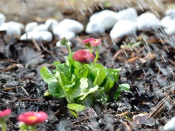 Royal Gardineer Wassersprinkler:Gartensprinkler Mit 12 Biegsamen Düsen -Rosenstein & Söhne Shop nx5477 4
