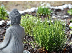 Royal Gardineer Wassersprinkler:Gartensprinkler Mit 12 Biegsamen Düsen -Rosenstein & Söhne Shop nx5477 5