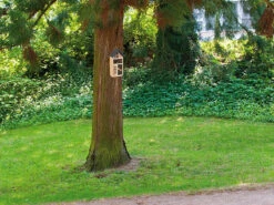 Royal Gardineer Insekten-Hotels:2er-Set Insektenhotels "Linda", Nisthilfe Für Nützlinge U.v.m. -Rosenstein & Söhne Shop nx6256 3 1