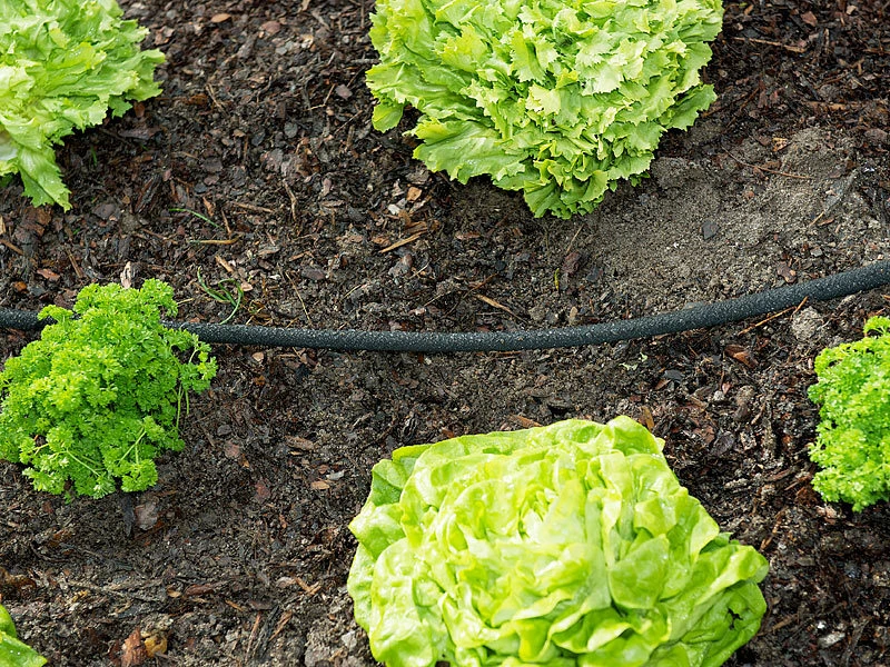 Royal Gardineer Sickerschlauch Garten:Perlschlauch Rund, Inkl. Schnellanschluss-Kupplungen, 12 M 4 Royal Gardineer Sickerschlauch Garten:Perlschlauch Rund, Inkl. Schnellanschluss-Kupplungen, 12 M – Bild 2