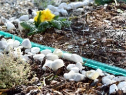 Royal Gardineer Schlauch Mit Löchern:Schlauch-Regner Zur Garten-Bewässerung, Flach, 7,5 M -Rosenstein & Söhne Shop nx7343 1