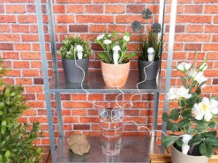 Royal Gardineer Topfbewässerung:Topfpflanzen-Bewässerungs-System Mit Tonspitze Und Schlauch, 5er-Set -Rosenstein & Söhne Shop nx7348 4 1