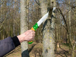 Royal Gardineer Säbelsäge:Handsäge Mit Grobzahnung & Holster, 30-cm-Sägeblatt, 65Mn-Carbon-Stahl -Rosenstein & Söhne Shop nx7793 3