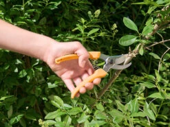 Royal Gardineer Gartenhaus:Gartenscheren-Set Mit 1 Bypass- & 2 Amboss-Scheren, 19 Cm & 21,5 Cm -Rosenstein & Söhne Shop nx7795 3 1