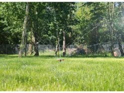 Royal Gardineer Rasensprinkler:Dreiarmiger Kreis-Rasensprenger Mit 10 Löchern, Für Flächen Bis 30 M² -Rosenstein & Söhne Shop nx9282 6