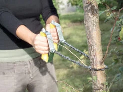 Titelseite -Rosenstein & Söhne Shop pe2314 1