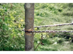 AGT Hand-Kettensäge, Metallgriffe, Sägekette 70cm, 18 Extrem Scharfe Zähne -Rosenstein & Söhne Shop pe2314 2