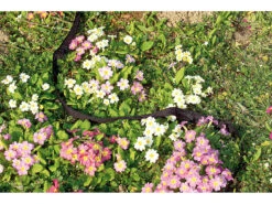 Royal Gardineer Gartenschläuche:Perlschlauch "Eco" 12m 4er-Pack -Rosenstein & Söhne Shop pe6596 1