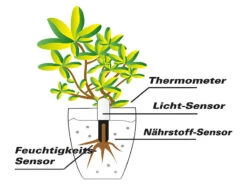 Royal Gardineer Gießanzeiger:4in1-Pflanzensensor SUN-141 Mit Bluetooth Und App-Kontrolle, 4er-Set -Rosenstein & Söhne Shop zx2807 8