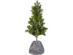 Royal Gardineer Gartenzubehöre:Thermo-Topfschutz Für Pflanzen, 40 X 40 Cm, Mit Drainage, Anthrazit -Rosenstein & Söhne Shop zx6077 4