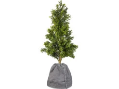 Royal Gardineer Topfpfabdeckung:2er Set XL-Thermo-Topfschutz Für Pflanzen,70x65cm,Drainage,anthrazit -Rosenstein & Söhne Shop zx6079 5 3