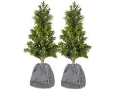 Royal Gardineer Topfpfabdeckung:2er Set XL-Thermo-Topfschutz Für Pflanzen,70x65cm,Drainage,anthrazit -Rosenstein & Söhne Shop zx6293 7