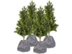 Royal Gardineer Winterschutzvliese:4er-Set Thermo-Topfschutz Für Pflanzen, 40x40 Cm, Drainage, Anthrazit 12 Royal Gardineer Winterschutzvliese:4er-Set Thermo-Topfschutz Für Pflanzen, 40x40 Cm, Drainage, Anthrazit -Rosenstein & Söhne Shop zx6296 7