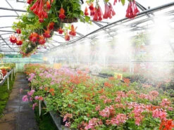 Royal Gardineer Sprühnebel Kühlung:Wasser-Zerstäuber-Set Mit 10-Meter-Schlauch Und 10 Metalldüsen 10 Royal Gardineer Sprühnebel Kühlung:Wasser-Zerstäuber-Set Mit 10-Meter-Schlauch Und 10 Metalldüsen -Rosenstein & Söhne Shop zx8027 5