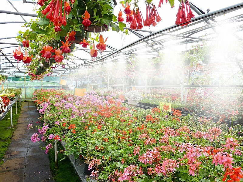 Royal Gardineer Sprühnebel Kühlung:Wasser-Zerstäuber-Set Mit 10-Meter-Schlauch Und 10 Metalldüsen 6 Royal Gardineer Sprühnebel Kühlung:Wasser-Zerstäuber-Set Mit 10-Meter-Schlauch Und 10 Metalldüsen – Bild 4