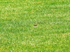 Royal Gardineer Versenkregner:2er-Set Versenkbare Bewässerungssprinkler Mit 3 Sprühköpfen, Bis 50 Qm 10 Royal Gardineer Versenkregner:2er-Set Versenkbare Bewässerungssprinkler Mit 3 Sprühköpfen, Bis 50 Qm -Rosenstein & Söhne Shop zx8062 11