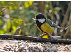 Royal Gardineer Vogelhaus Mit Ständer:XL-Vogelhaus, Metalldach, Erdspieß & Futterfläche Aus Holz, Ø 33,5 Cm -Rosenstein & Söhne Shop zx8085 8