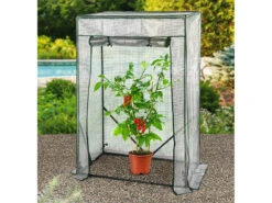 Royal Gardineer Tomatenhaus:Tomaten-Folien-Gewächshaus, Aufrollbare Tür, 100 X 150 X 50 Cm, Weiß -Rosenstein & Söhne Shop zx8093 1