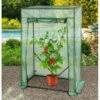 Royal Gardineer Tomatengewächshaus:Tomaten-Folien-Gewächshaus, Aufrollbare Tür, 100 X 50 X 150 Cm, Grün -Rosenstein & Söhne Shop zx8095 5 2