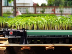 Royal Gardineer Heizung:2er-Set Elektr. Stabheizung Für Gewächshäuser, 135 Watt, 105 Cm, IP44 -Rosenstein & Söhne Shop zx8115 8 1