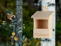 Royal Gardineer Nistkasten Holz:2er-Set Vogel-Nistkästen Zum Aufhängen An Baum Oder Wand, Vormontiert 7 Royal Gardineer Nistkasten Holz:2er-Set Vogel-Nistkästen Zum Aufhängen An Baum Oder Wand, Vormontiert -Rosenstein & Söhne Shop zx8207 2