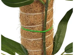 Royal Gardineer Rankhilfe Pflanzstab:4er-Set Rankhilfen Aus Kokosfaser & Holz, 2x40 Cm, 2x30 Cm, Juteschnur -Rosenstein & Söhne Shop zx8327 5 2