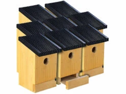 Royal Gardineer Vogelvilla Nistkasten:8er-Set Tannenholz-Nistkästen Für Wildvögel, 22x14x12 Cm, Vormontiert -Rosenstein & Söhne Shop zx8417 6